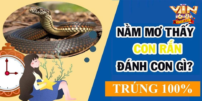 Mơ Thấy Rắn Đánh Con Gì Vin68? Cùng Giải Mã Giấc Mơ Rắn bò vào giấc mơ – cơ hội đổi đời từ những con số bí ẩn