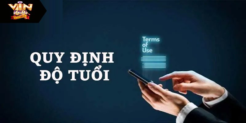 Điều Khoản Sử Dụng Vin68 - Đảm Bảo Cá Cược An Toàn Sử dụng nền tảng đúng độ tuổi quy định